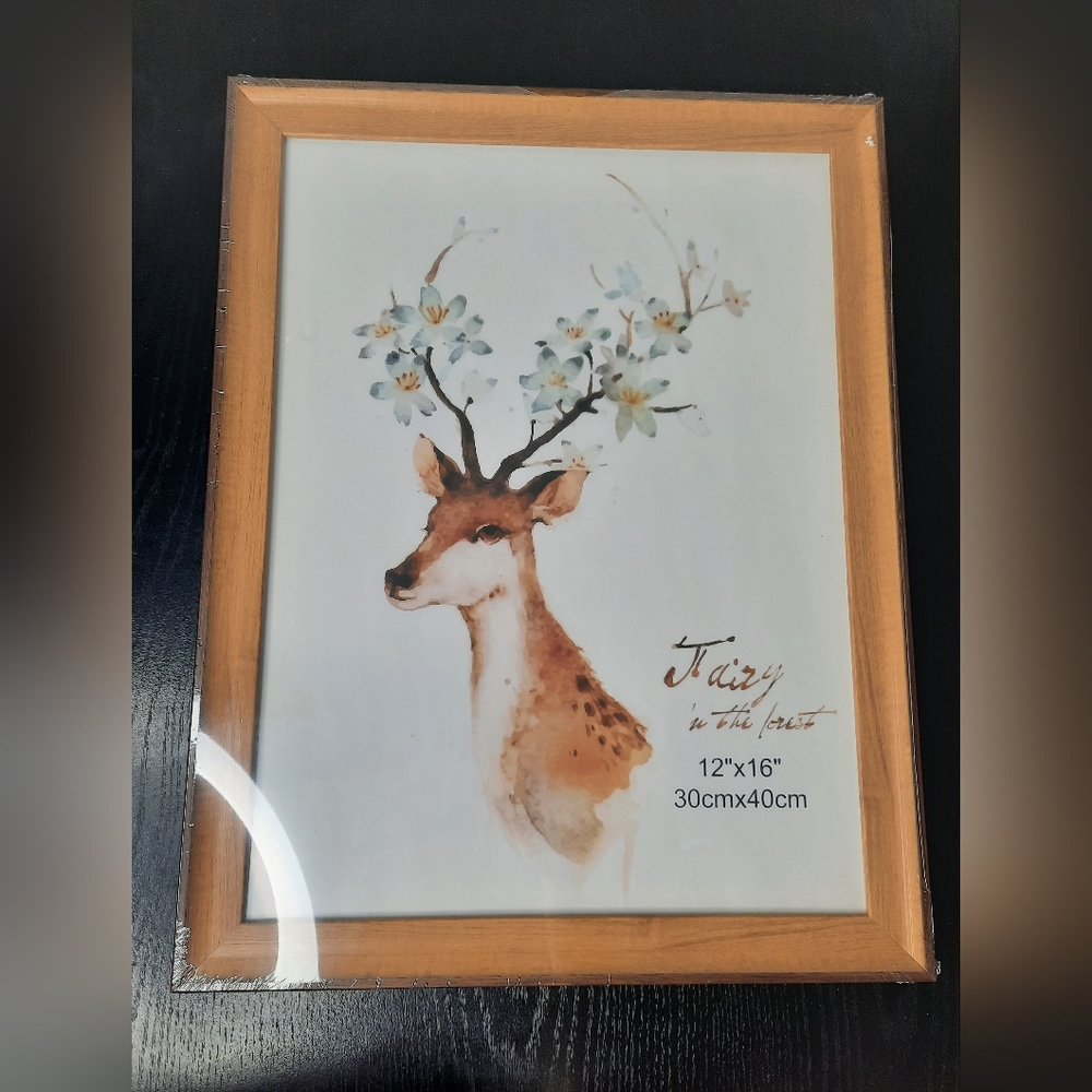 12 x 16 Photo Frame
